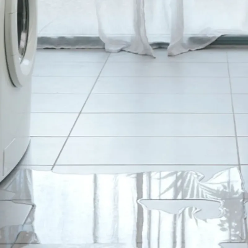 Appliance Leak Cleanup in Frederick, CO